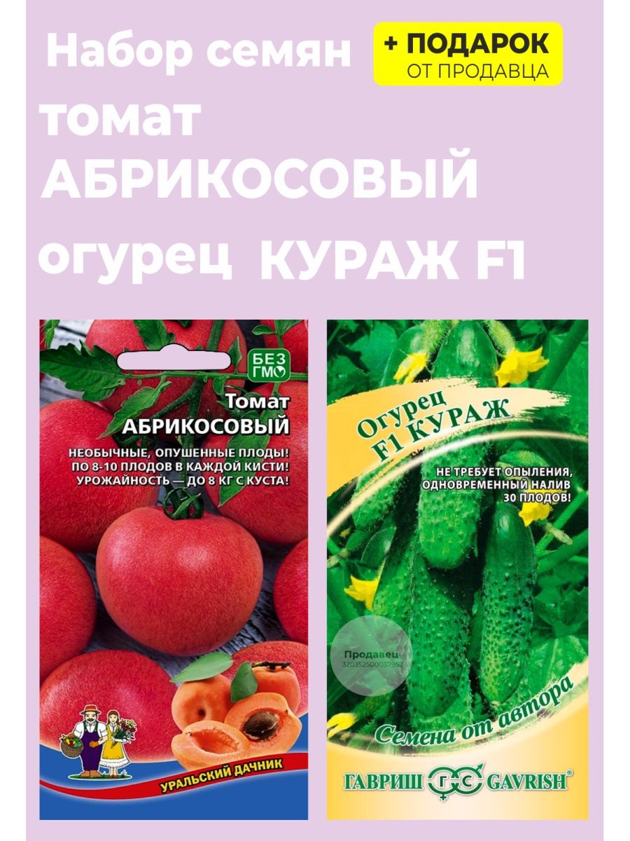 Описание сорта томата абрикос, особенности выращивания и ухода