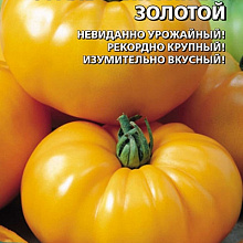 Крупноплодный томат богатырь: подробное описание сорта, агротехника, отзывы