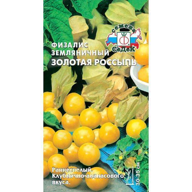 Физалис - виды и выращивание