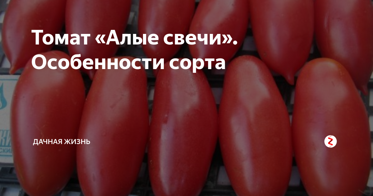 Томат алые свечи: описание сорта, отзывы, фото