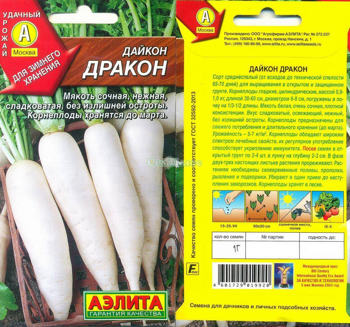 Дайкон саша описание и характеристика сорта посадка и уход с фото