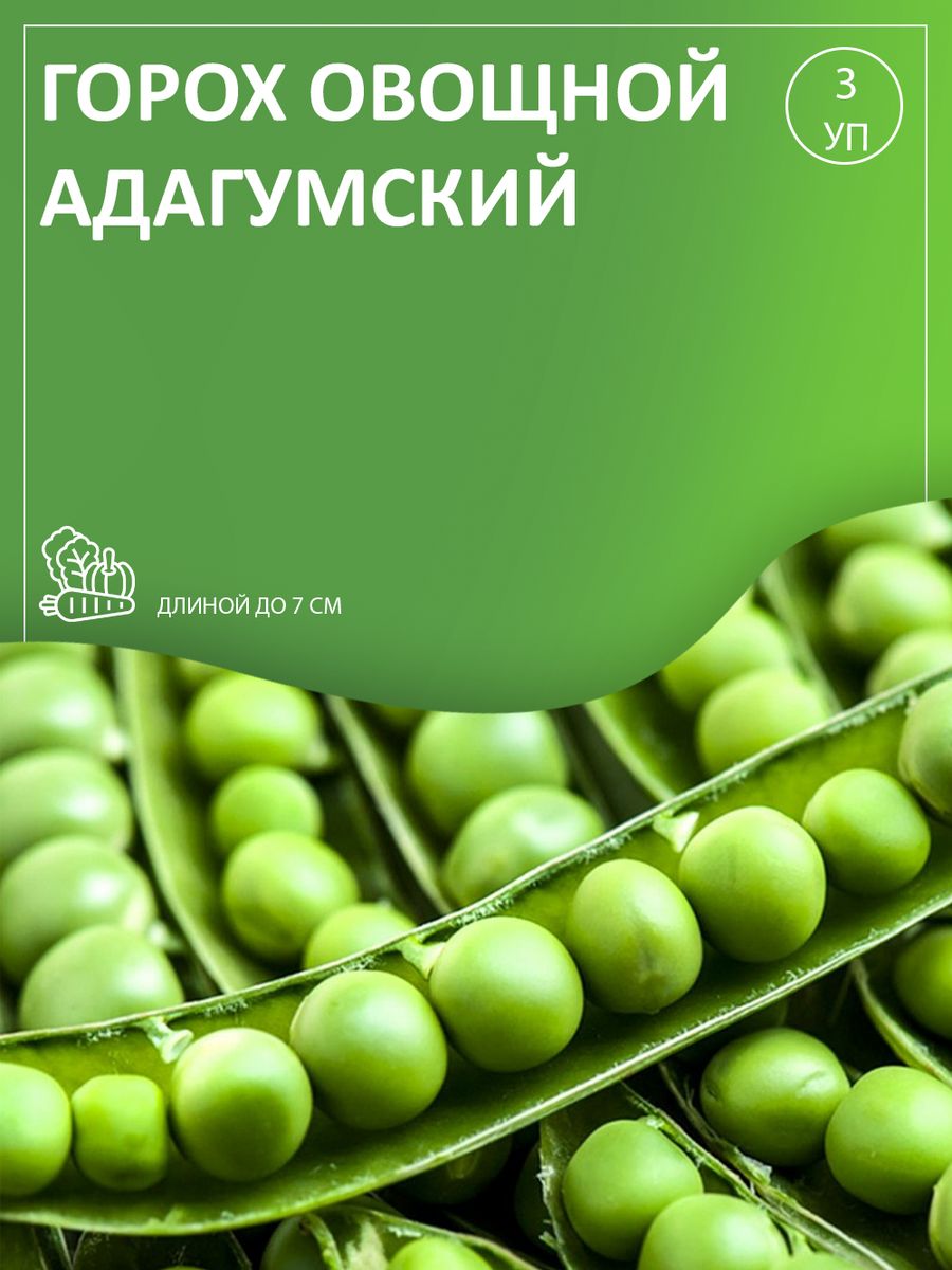 Горох овощной адагумский описание сорта | хороший урожай🍎