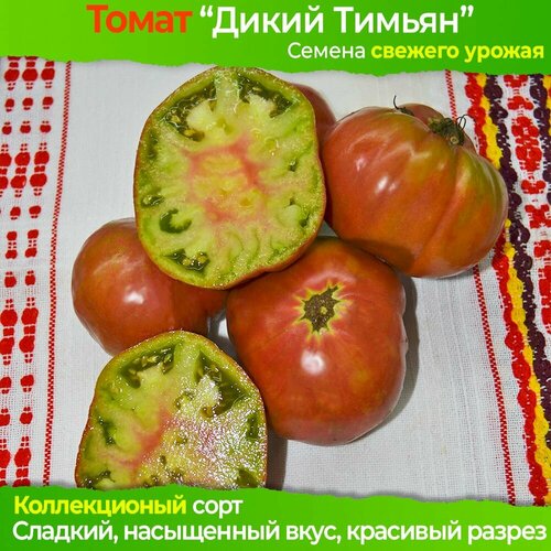 Томат дикий тимьян: описание, характеристики, посадка, выращивание, болезни и вредители, отзывы