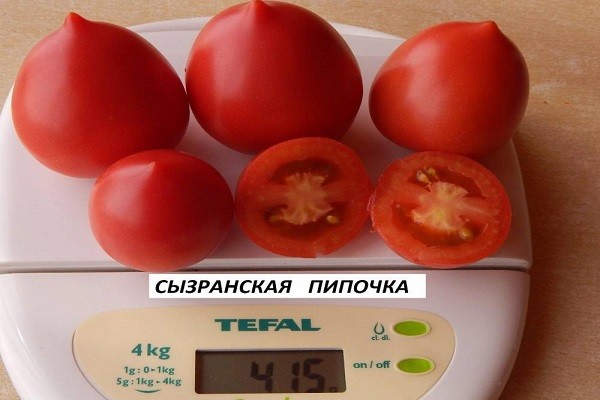 Лучшие сорта томатов: фото, названия и описания (каталог)