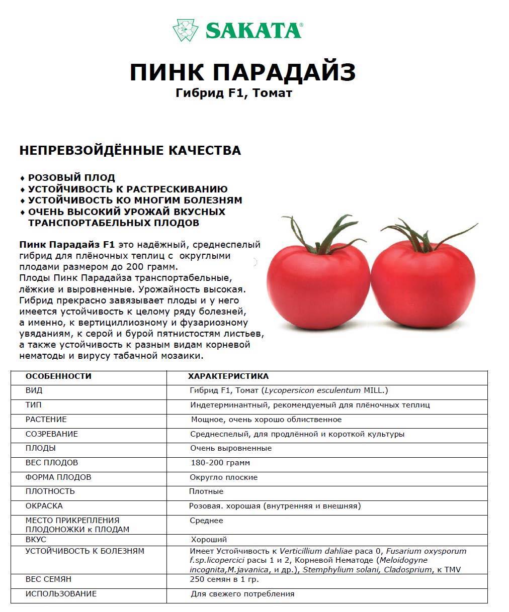 Томат шеди леди f1 отзывы фото куста