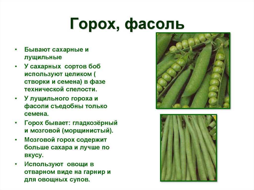 Посев гороха