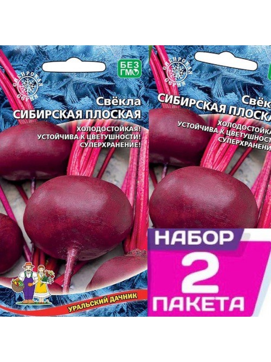 Лучшие сорта свеклы для выращивания и хранения в сибири: сорта, особенности, методы