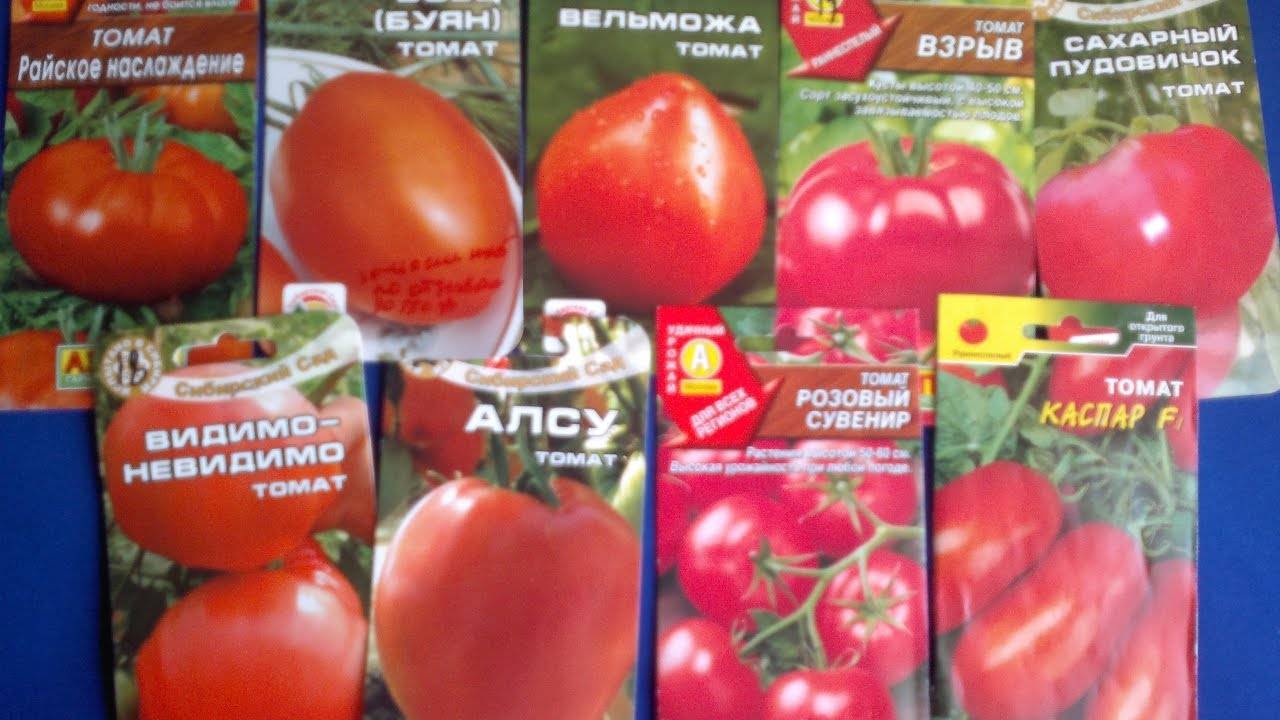Томат крупноплодный гигант новикова: важные характеристики, описание агротехники, отзывы