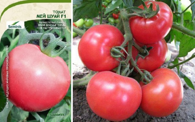 Томат хейзел мей: описание сорта, отзывы, фото