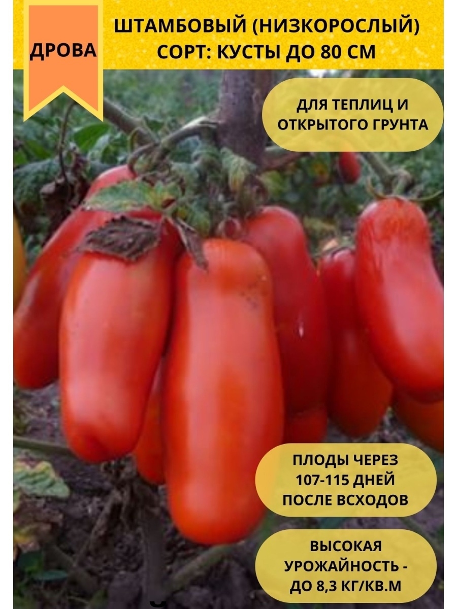 Помидоры дрова: фото, описание и особенности сорта