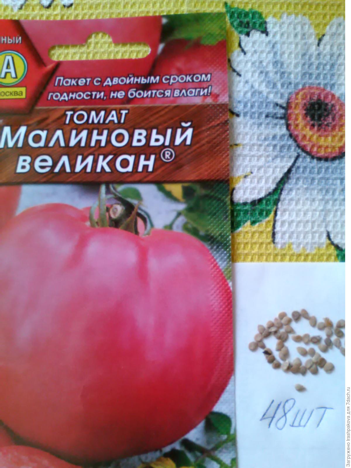 Крупноплодные сорта томатов и описание лучших из них