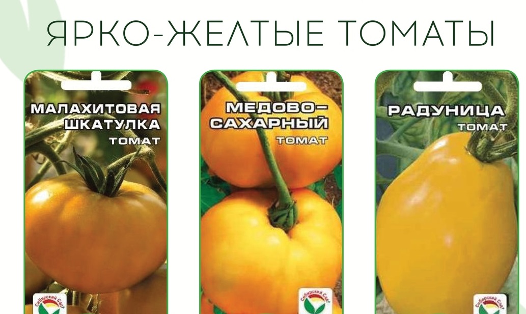 Описание сорта томата малахитовая шкатулка, особенности выращивания и ухода