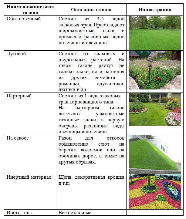 Виды газонной травы с фото, названиями и описанием. газонные травы сорта