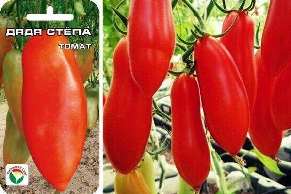 Томат дядя степа: характеристика и описание селекционного сорта с фото