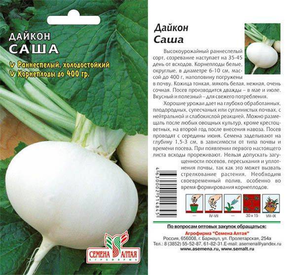 Дайкон саша: посадка и уход, как вырастить?