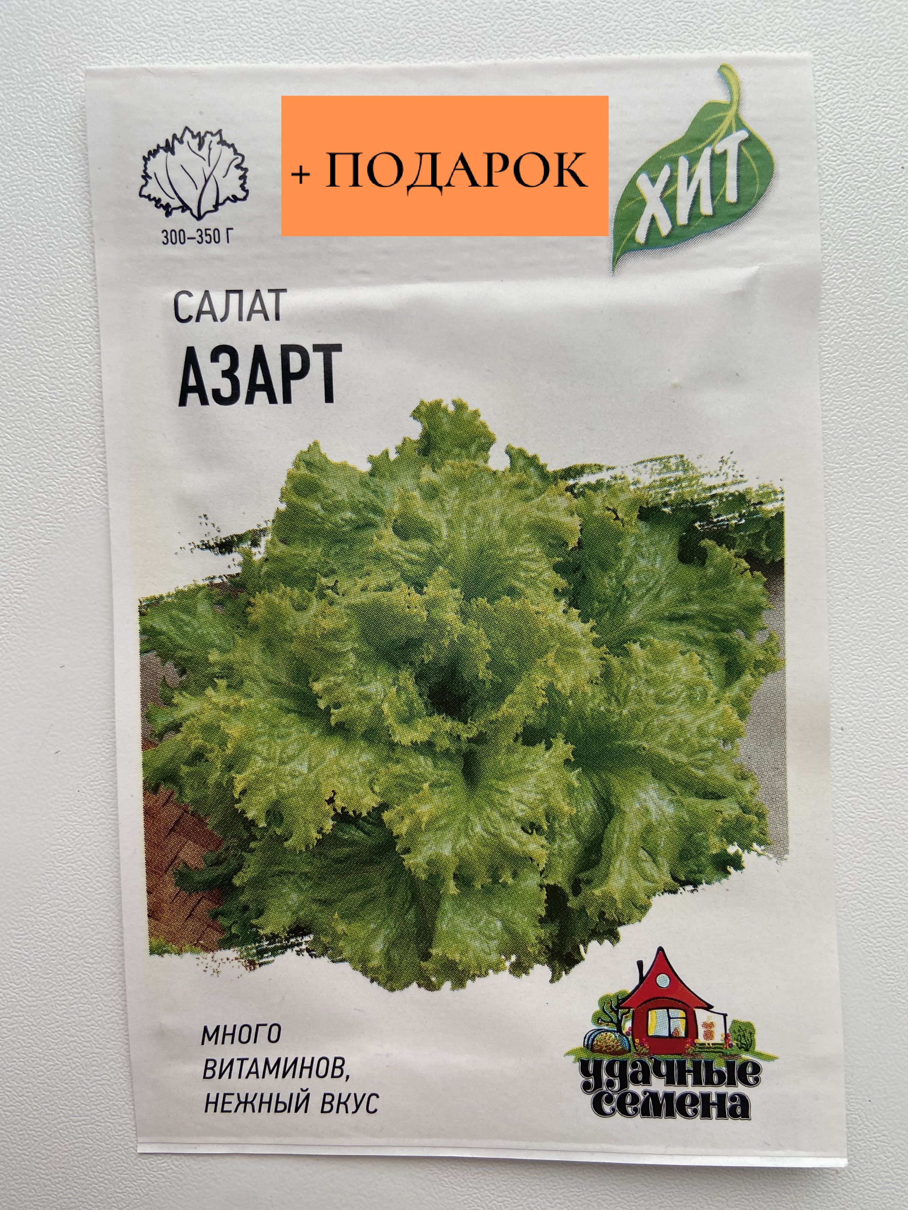 Салат азарт выращивание