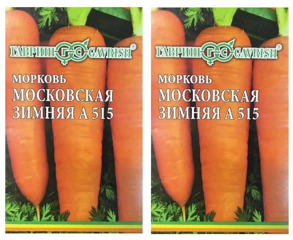 Морковь московская зимняя а-515 - описание сорта, особенности, фото