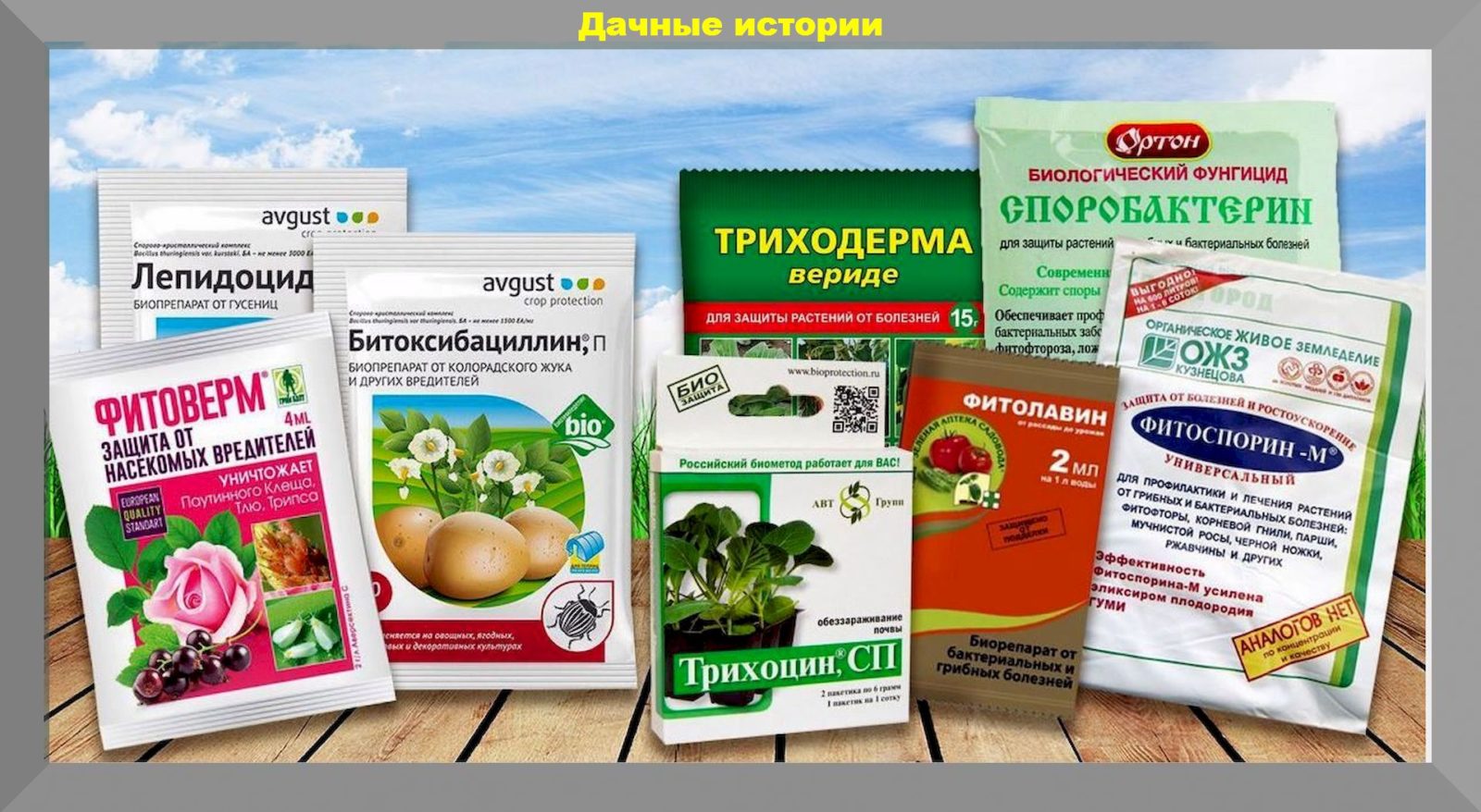Дихлофос: понятие, виды, инструкция травли тараканов, клопов