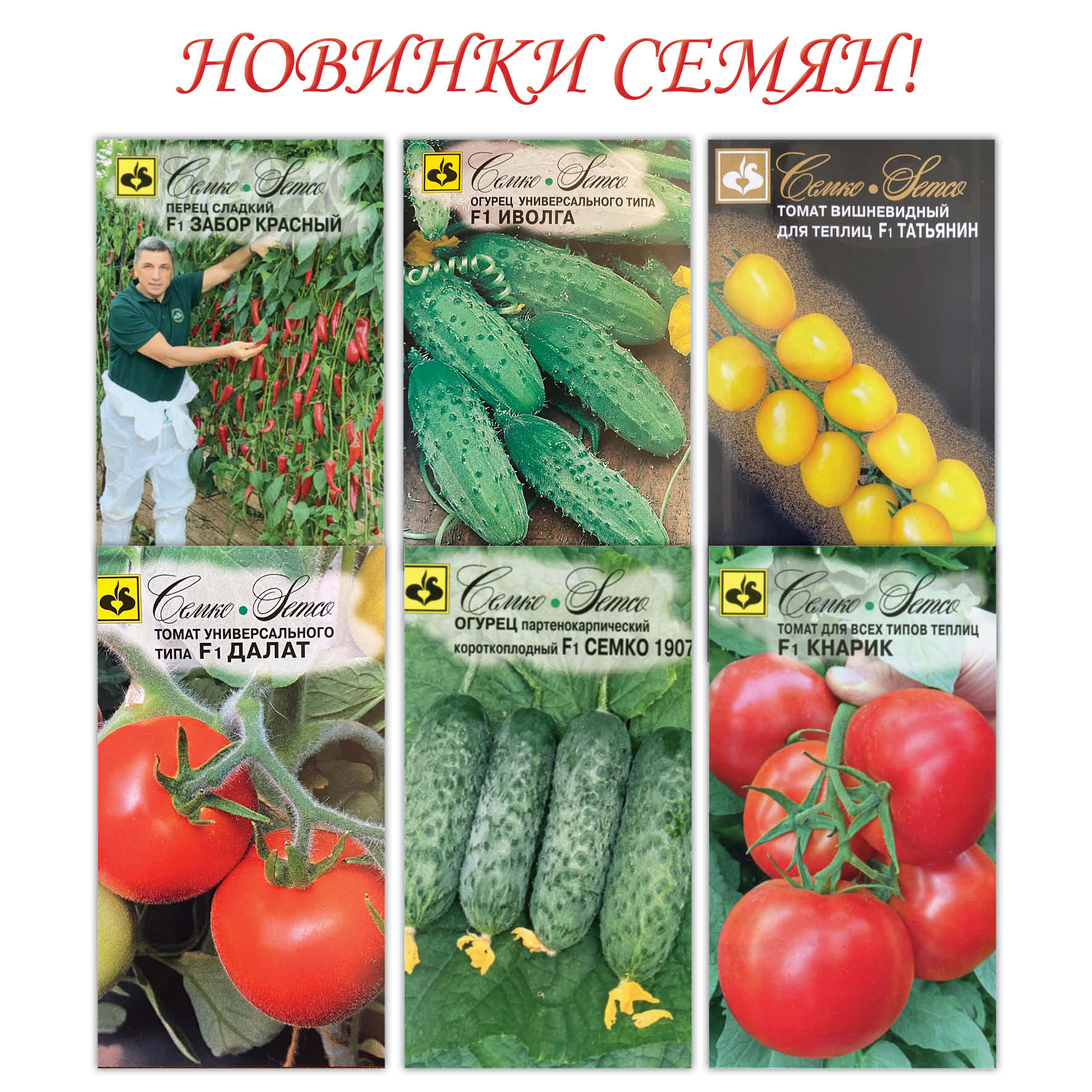Томат софа: описание и характеристика, отзывы, фото