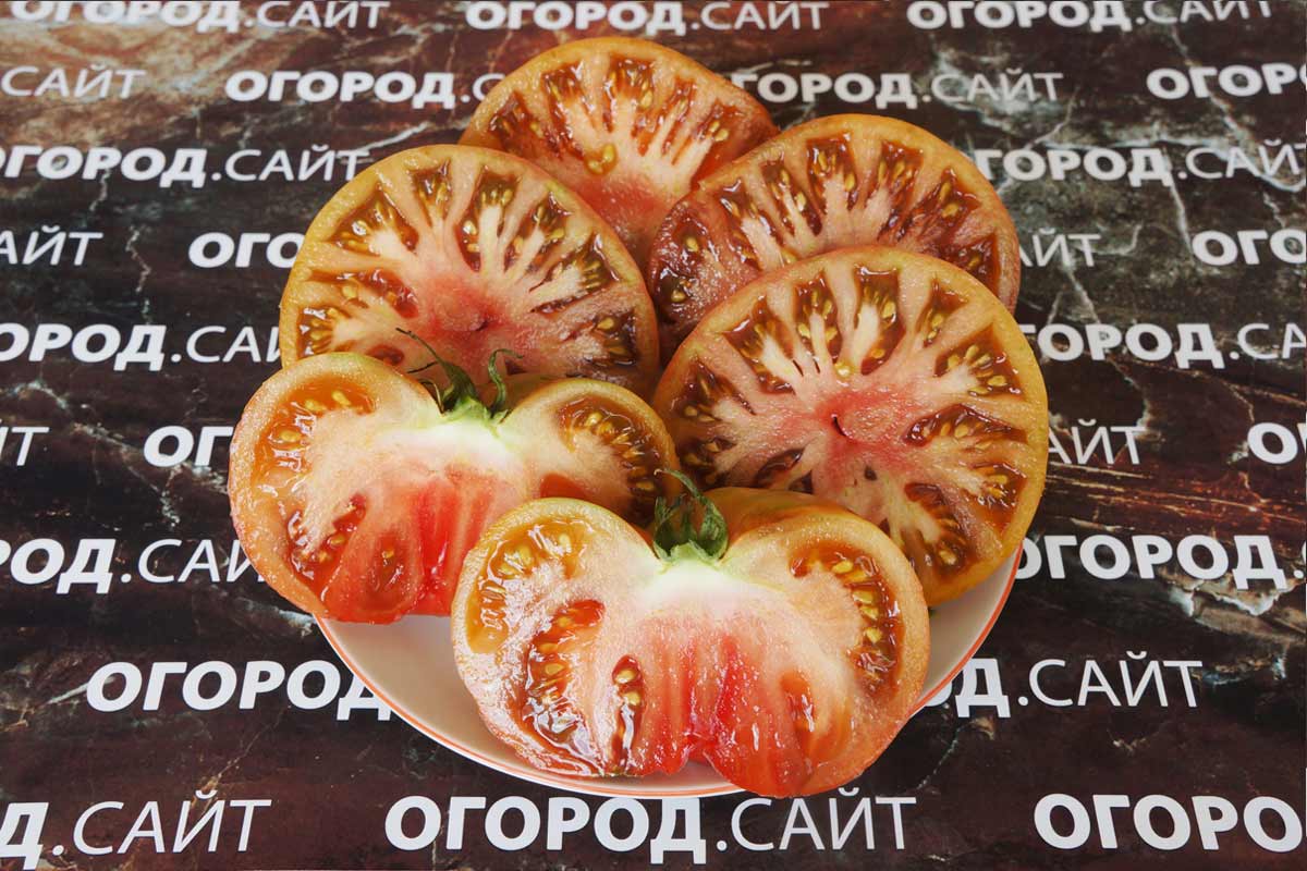 Томат каскад лава: характеристика и описание сорта, отзывы, фото