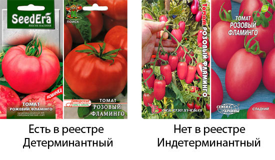 Томат розовый фламинго: описание сорта, выращивание и урожайность с фото