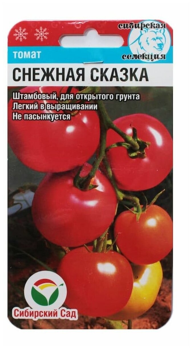 Любимец огородников из холодных регионов страны — томат снежная сказка: описание сорта и его характеристики