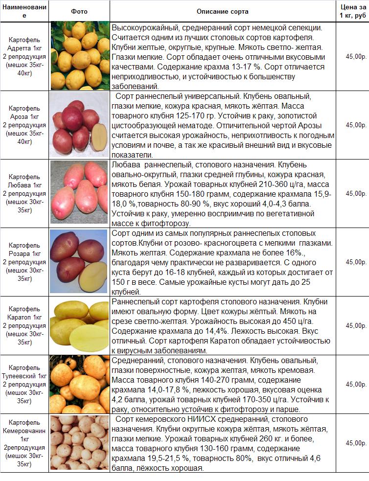 Лучшие голландские сорта картофеля и их подробное описание