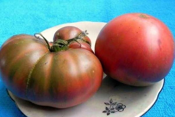 Томат гигант: характеристики и описание сортов-великанов с фото