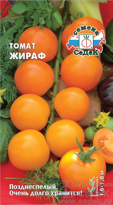 Томат жираф