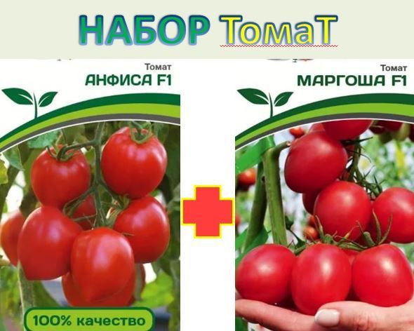Мой личный топ-50 сортов помидоров