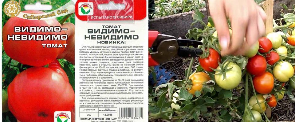 Семена помидор + самые лучшие сорта томатов для сибири. каталог на 2022 год