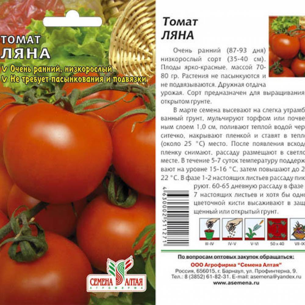 Семена томатов от лидии ганзен