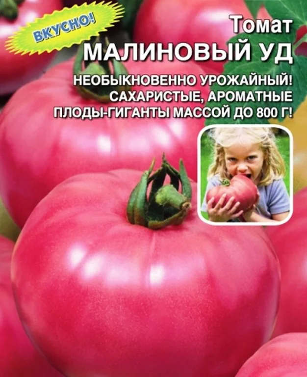 Описание сорта томата малиновый гигант — как поднять урожайность