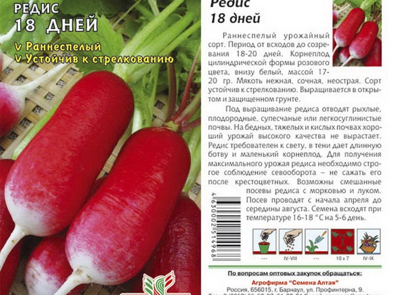 Самые лучшие сорта редиски для посадки в открытый грунт