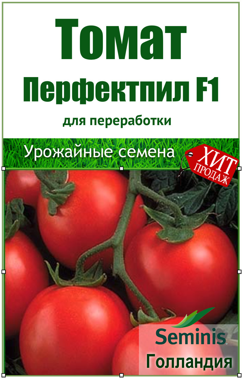 Раннеспелый томат пит випер: описание сорта, отзывы, фото, советы