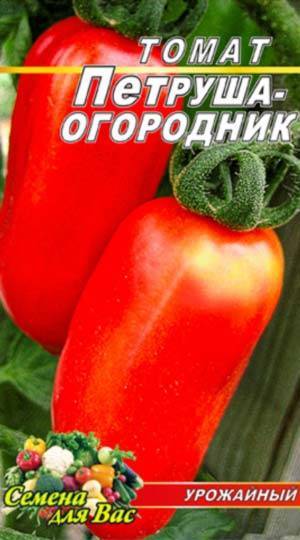 Томат "огородник": характеристика и описание сорта, фото, урожайность, посадка и уход