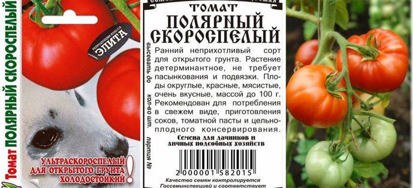 Томат убойная сила: характеристика и описание детерминантного сорта с фото
