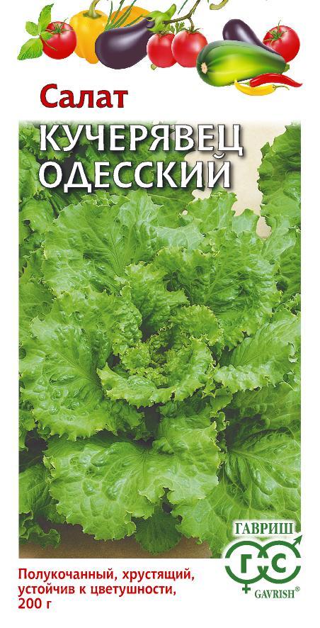 Лучшие сорта салатов для теплиц и открытого грунта на 2024 год: новые и вкусные