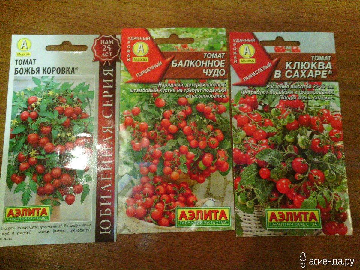 Томат дрова: описание сорта, фото, отзывы, характеристика и урожайность