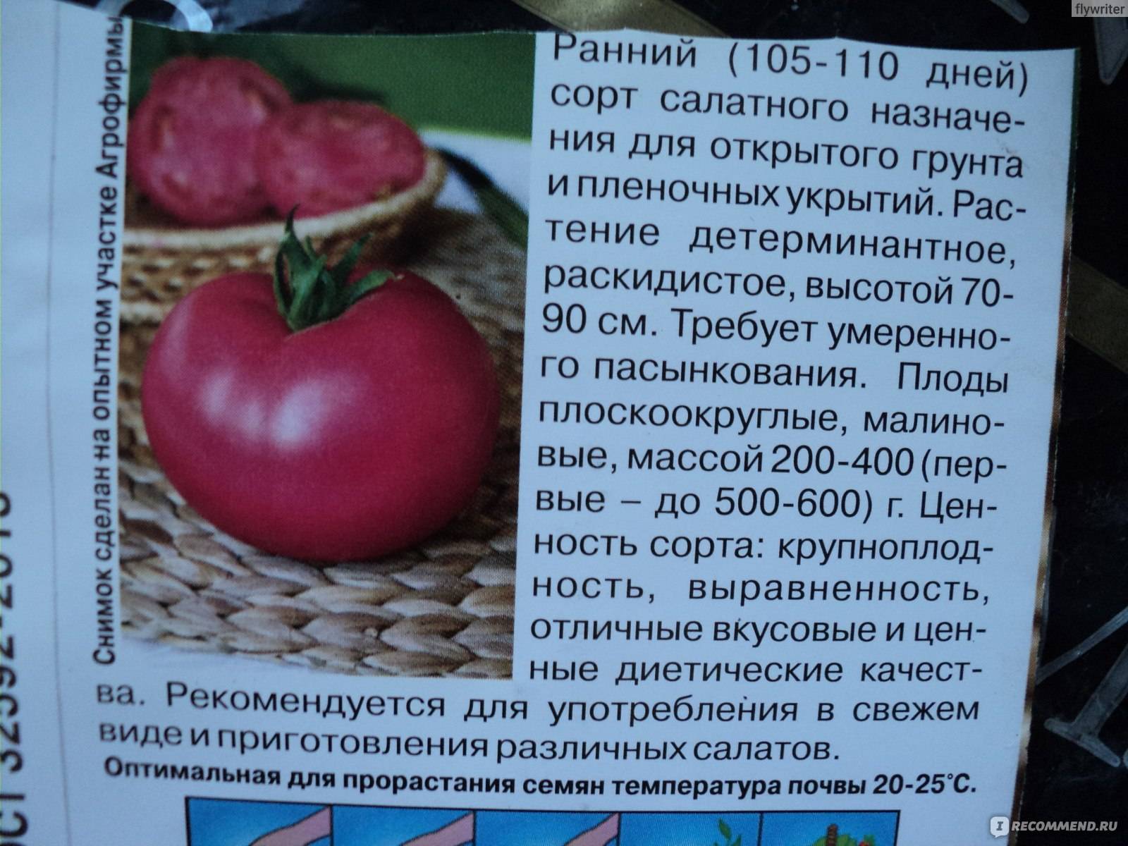 Томат малиновый звон f1 - описание сорта гибрида, характеристика, урожайность, отзывы, фото