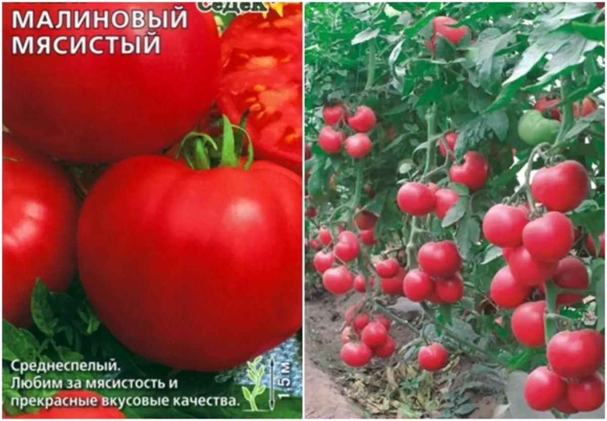 Томат малиновый гигант: отзывы, фото, урожайность, характеристика и отзывы