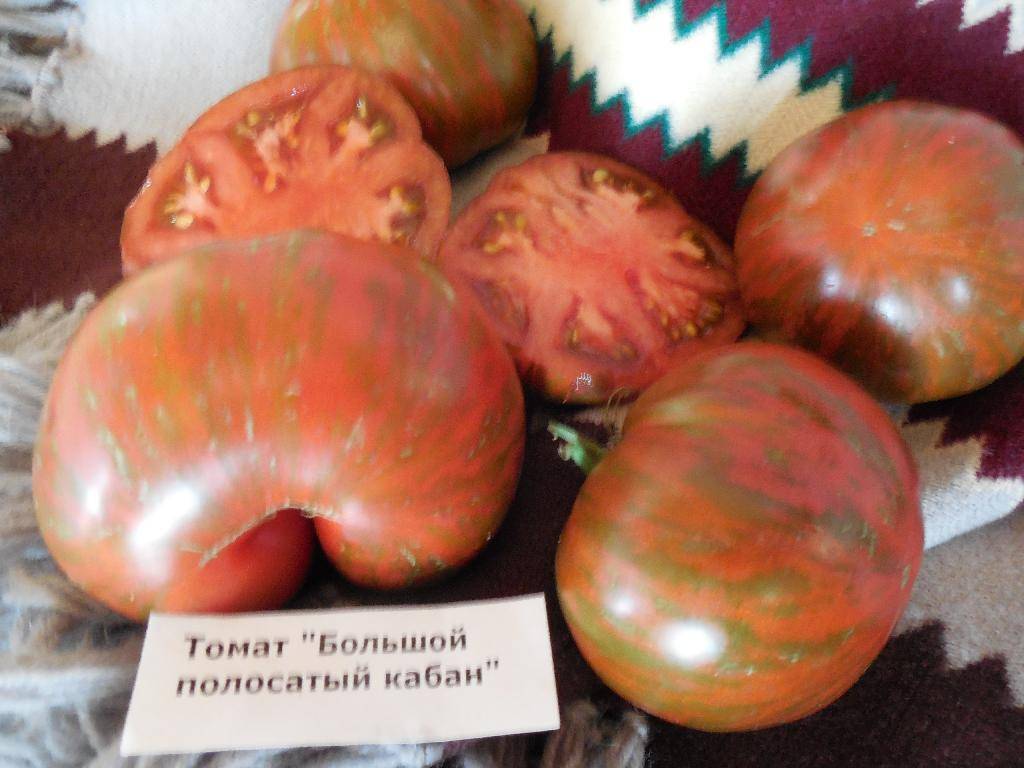 Томат большой полосатый кабан: характеристика и описание сорта с фото