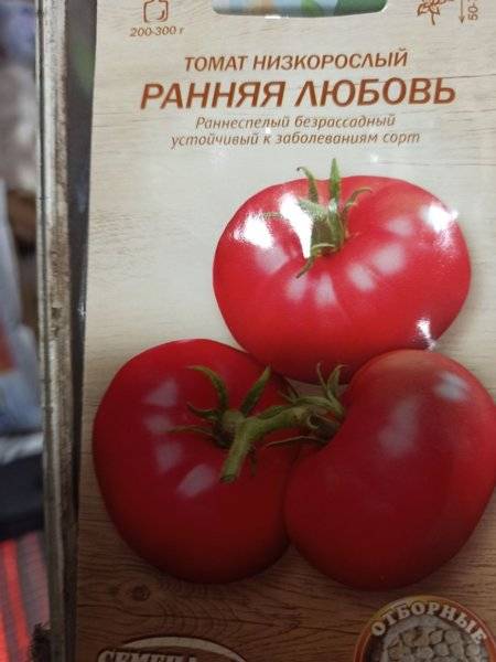 Томат ранняя любовь: характеристика и описание сорта, урожайность, отзывы, фото