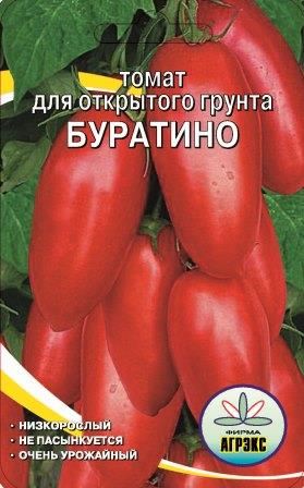 Томат буратино: характеристики и описание сорта, урожайность с фото