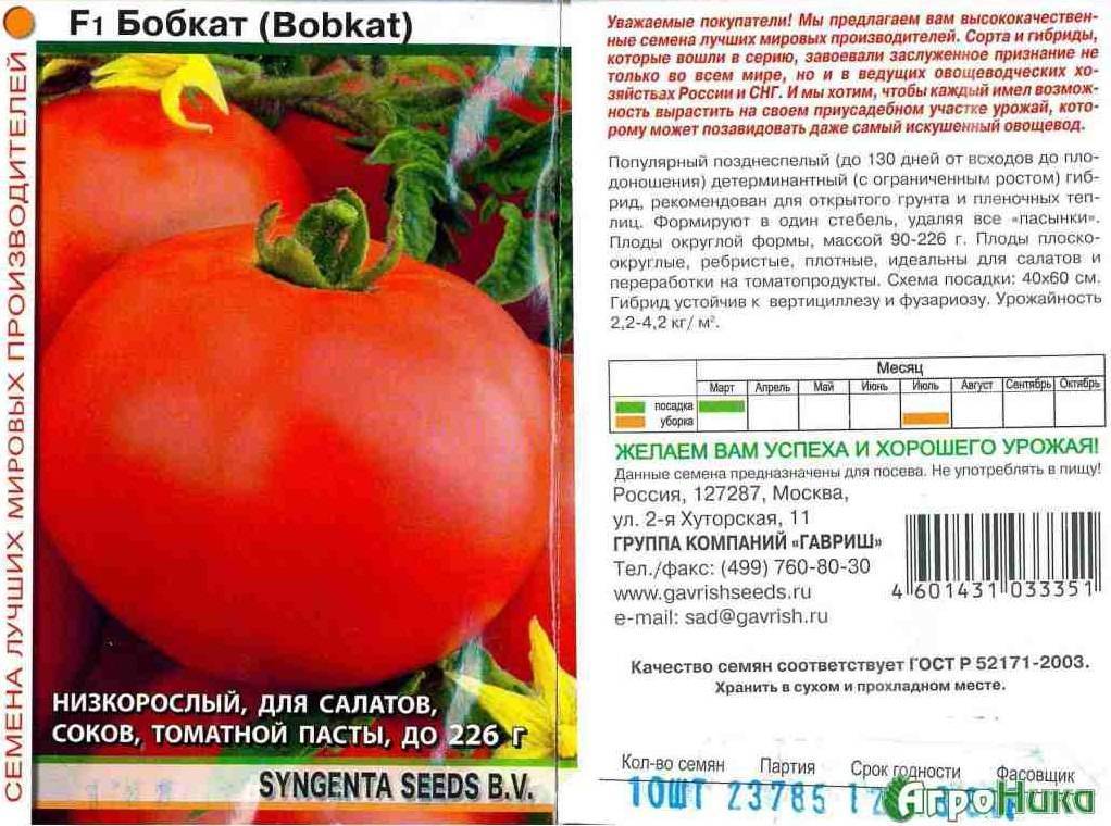 Томат "факел": описание и характеристики сорта помидор, рекомендации по выращиванию и фотографии плодов