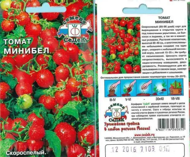 Все о томате Минибел с фото Отзывы тех, кто сажал Ультраскороспелый, карликовый сорт томата для выращивания в контейнерах на балконах, в комнатных условиях, а также в открытом грунте