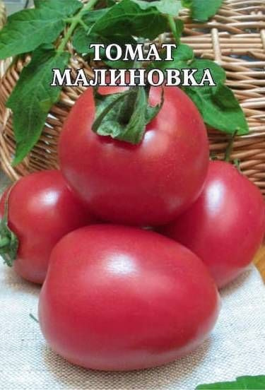 Сорт томата малиновка