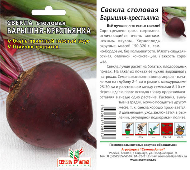 Лучшие сорта свеклы