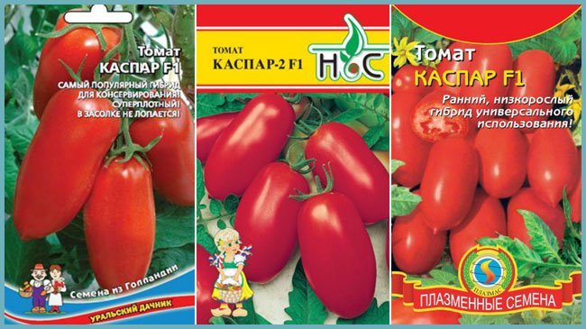 Томат каспар: описание сорта, отзывы (8), фото