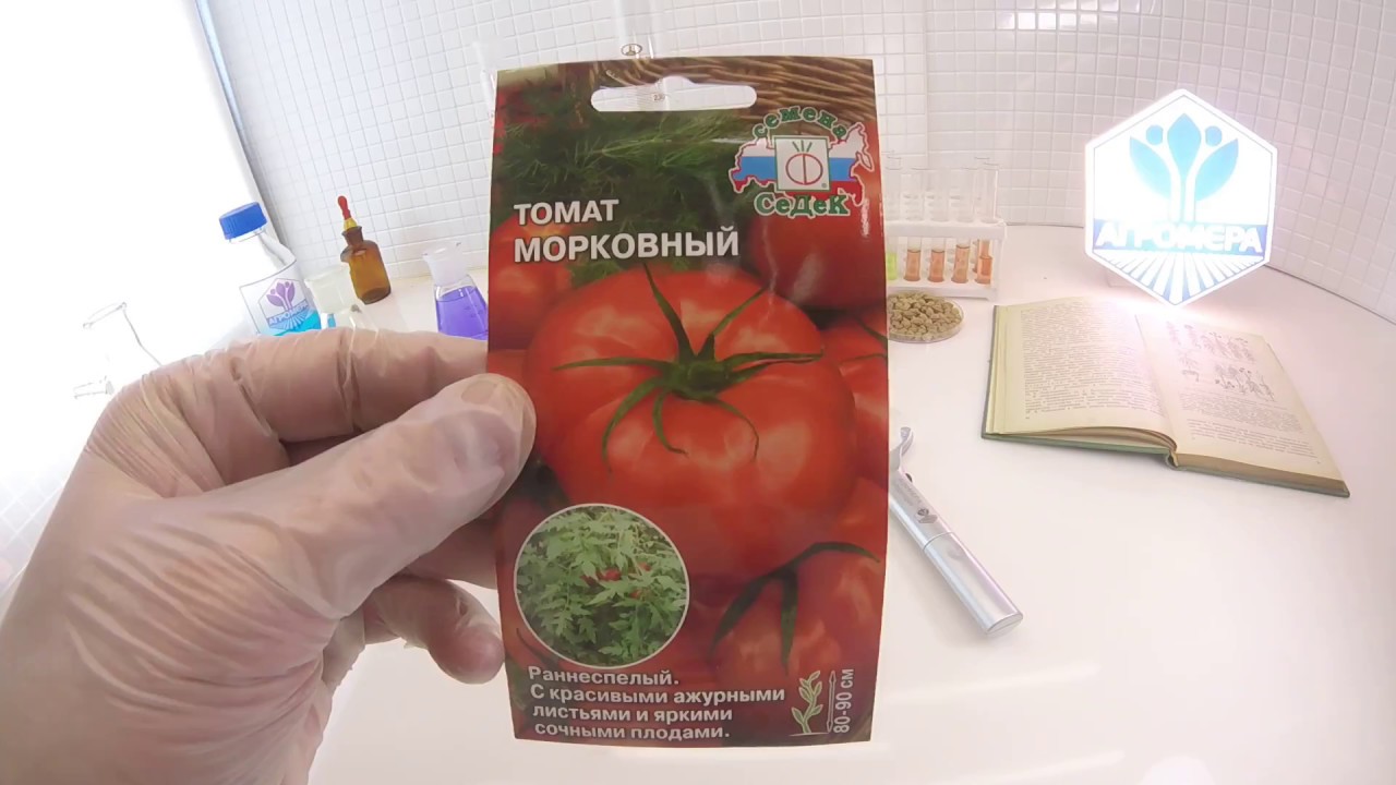 Томат (помидор) «морковный»: описание, характеристика, особенности выращивания